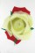 BFC0906 Yellow Roses