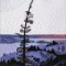 BFC0911 Window - Winter Sunrise