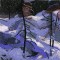 BFC0911 Window - Winter Sunrise