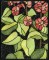 BFC0914 Stained Glass- Hollyhock Triptych