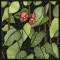 BFC0914 Stained Glass- Hollyhock Triptych