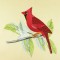BFC0917 Audubon Birds by the Dozen