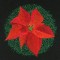 BFC0918 Four Poinsettias