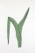 BFC0920 Botanical Print - Iris