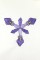 BFC0920 Botanical Print - Iris