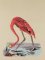 BFC0923 Audubon Water Birds by the Dozen 02