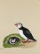 BFC0923 Audubon Water Birds by the Dozen