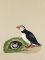 BFC0923 Audubon Water Birds by the Dozen 05