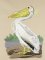 BFC0923 Audubon Water Birds by the Dozen 07