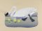 BFC0923 Audubon Water Birds by the Dozen 11
