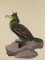 BFC0923 Audubon Water Birds by the Dozen