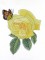 BFC0929 Redoute Roses