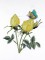 BFC0929 Redoute Roses