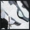 BFC0930 Window-An Eagle in Wintertime