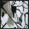BFC0930 Window-An Eagle in Wintertime