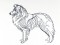 BFC0931 Canine Bling