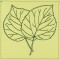BFC0937 Leaf Quiltables