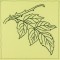 BFC0937 Leaf Quiltables