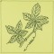 BFC0937 Leaf Quiltables