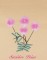 BFC0939 Texas Wildflowers I