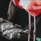 BFC0943 Window-Flamingos