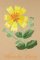 BFC0944 Texas Wildflowers II 06