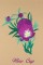 BFC0944 Texas Wildflowers II