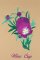 BFC0944 Texas Wildflowers II 08