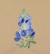BFC0946 Texas Wildflowers III