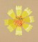 BFC0946 Texas Wildflowers III