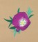 BFC0946 Texas Wildflowers III