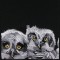 BFC0947 Window-Three Baby Owls