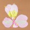 BFC0948 Alstroemeria-Peruvian Lilies
