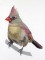 BFC0956 Cardinals II