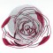 BFC0964 Rose Reflections