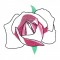BFC0964 Rose Reflections