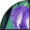 BFC0966 QIH Iris Tile