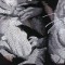 BFC0968 Window-Three Kittens