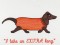 BFC0972 If Dogs Could Talk II