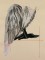 BFC0974 In Honor of the Brown Pelican