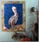 BFC0974 In Honor of the Brown Pelican