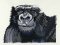 BFC0978 Safari Series-Gorilla