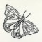 BFC0981 Fantasy Butterflies and Flowers Blackwork