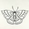 BFC0981 Fantasy Butterflies and Flowers Blackwork