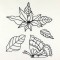 BFC0981 Fantasy Butterflies and Flowers Blackwork