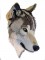BFC0983 Two Wolf Portraits