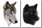 BFC0983 Two Wolf Portraits