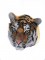 BFC0995 Two Tiger Portraits