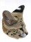 BFC0996 Two Serval Portraits