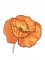 BFC0997 Poppies with Oriental Influence